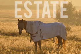 Summer Time! Novità e prodotti essenziali per affrontare il caldo!