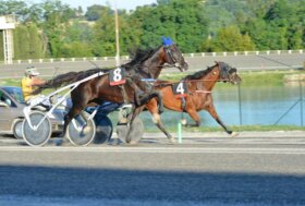 Cavalli e civiltà: danze d’acqua e di fuoco al San Paolo