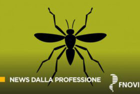 Piano nazionale arbovirosi – Dengue, Chikungunya e West Nile: sorveglianza rafforzata e prevenzione indispensabile