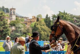 Attacchi: Sulla storica pista del Trotto
