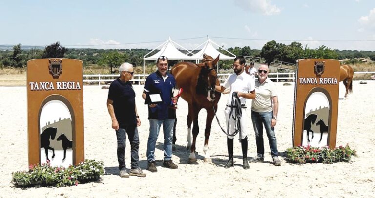 Rassegna puledri Asvi a Tanca Regia: fra i 3 anni vittorie degli anglo arabi Ginetta e Già ti amo delle Terre Sarde