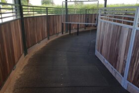 Il benessere del cavallo inizia dal pavimento