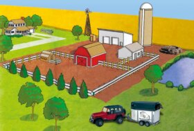 Per catturare le mosche non serve un safari, basta un buon attrattivo