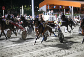 Ippodromo di Cesena: venerdì 29 agosto, Flicka super favorita nella Tris