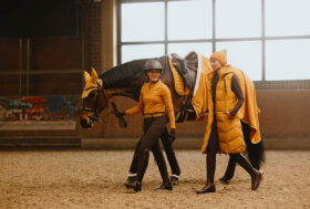 Settembre: Nuovi Sconti e tante Novità 🐎 Cavallo, 🙆‍♂️ Cavaliere… 🐶 Cagnolini