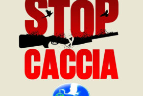 Avanza la proposta di legge per abolizione caccia!