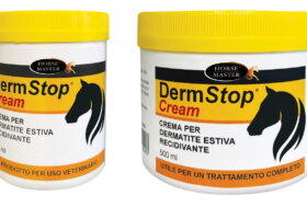 Utili Consigli per il Benessere del tuo amico a 4 zampe