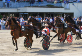 Arcoveggio: oggi si conclude il mese con il Premio Cromiko. Otto corse di qualità