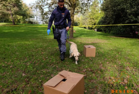 Attacchi di Design – Formigine (Mo), 27-28 settembre 2025 – secondo c.s.