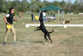 Sporting Club Monterosa Novara: una domenica di sport, inclusione e amore per gli animali