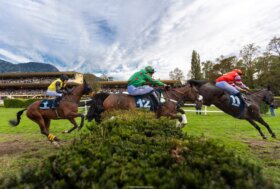 Mancano meno di due settimane al Gran Premio Merano Alto Adige: ippica, show, degustazioni e tanto altro anco