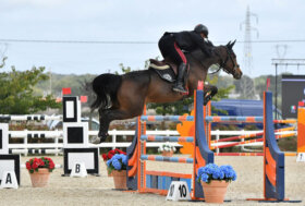 Al Sardegna Jumping Tour brillano non solo i Chimirri ma anche Luigi Angius, Giovanni Carboni e Antonio Meloni
