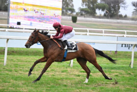 Max Allegri trionfa all’Ippodromo Capannelle: la sua Star Of Life trionfa nel Criterium Femminile.