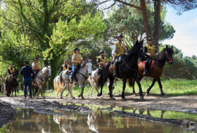 Equiraduno dell’Anno Santo si conclude con l’incontro dei cavalieri col Papa a San Pietro il 25 ottobre