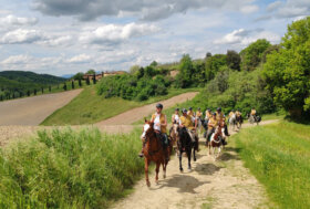 Biodiversità e Turismo Equestre: un’alleanza per le razze italiane