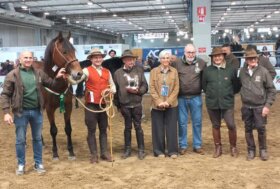 ANAM e il cavallo maremmano a Fieracavalli 2025