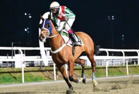 All’ippodromo Snai San Siro la stagione di galoppo 2025 si chiude con i lampi di Sopran Valchiria, Miss Mchenry e Sea And See nei tre handicap su diverse distanze