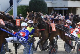 Ippodromo di Bologna: Domenica 1° marzo, clou per ottimi tre anni e altre sette corse
