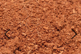 LETTIERA PER BOX, quali caratteristiche deve avere la giusta lettiera per il box del tuo cavallo?