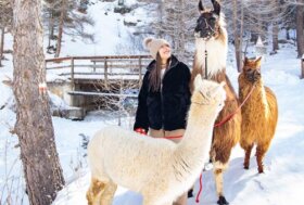 Blue Monday survival kit: la ricetta valtellinese per il buonumore, tra forest bathing, benessere e pet therapy