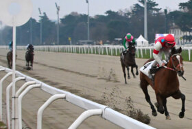 All’ippodromo Snai San Siro il venerdì di galoppo con due handicap limitati per cavalli anziani
