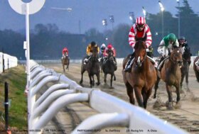 All’ippodromo SNAI San Siro un sabato emozioni con il Gran Premio Cavalli e Sport