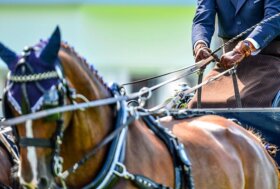 Ecco il Programma Sportivo Attacchi e Para Attacchi per il 2026