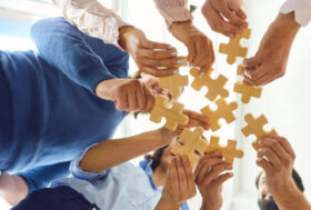 Lumpy Skin Disease: una risposta efficace del sistema veterinario