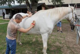 Il progetto Fieracavalli-Corte Molon per il reinserimento lavorativo dei detenuti compie 10 anni