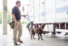 Dalla ricerca alla relazione: Oltremare 2.0 svela i segreti del rapporto Uomo-Animale nel workshop con esperti e amanti cinofili