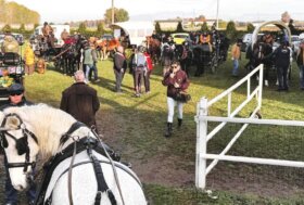 Attacchi. Viaggio del Sor-riso: 7a edizione