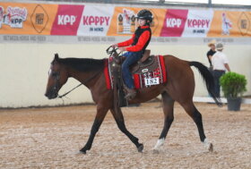 Approvate modifiche al Regolamento Scuole Federali di Equitazione Americana/Reining