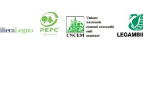Nuova Legge Clima UE: da filiera del legno contributo determinante su decarbonizzazione, ma necessaria strategia nazionale su valorizzazione, gestione forestale e stoccaggio di CO₂