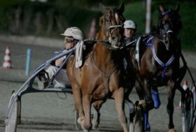 Otto leggende per otto traguardi: al San Paolo di Montegiorgio il trotto corre nel mito del Ciclismo