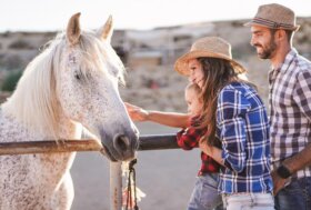Horse Green Day: a Pisa la presentazione del progetto “Toscana con il Cavallo”