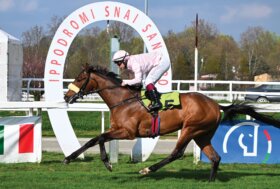 All’ippodromo Snai San Siro un altro bel mercoledì di galoppo