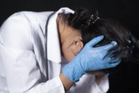 FNOVI: Prevenire la violenza, difendere la professione