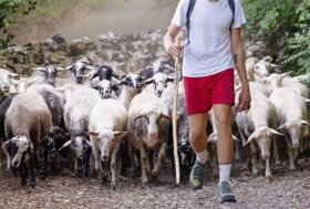 Pascoli e Pastori: l’Onu chiama, Calascio risponde