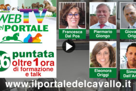 Rivedi ora la 26° puntata della WebTV