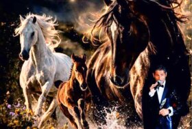 EQUISOMMATINO 2026 – la grande Fiera del Cavallo del centro Sicilia