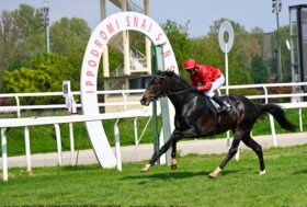 All’ippodromo Snai San Siro nell’infrasettimanale di galoppo Lobster vince tranquillo il premio Giambattista Gnutti