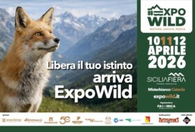Expo Wild 2026: natura, sport e spettacolo, la fiera che riunisce tutti a Siciliafiera