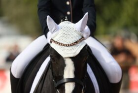 Dressage: Pony. A Casorate Sempione stage federale di Valentina Truppa