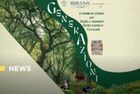 FEDER.S.P.e V. – “bando per l’assegnazione di premi di studio a laureati in: