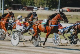 Inizia il countdown: l’Ippodromo Ghirlandina si prepara per il Gran Premio Tito Giovanardi.