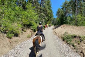 Borghi da vivere, non solo da fotografare: 5 destinazioni italiane da scoprire all’aria aperta per una fuga di primavera