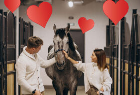 Cosa manca in Scuderia?