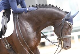 Giovani del dressage in evidenza ad Aquisgrana