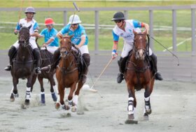 FIP Arena Polo European Championship: al via a Piazza di Siena la prima storica edizione