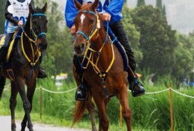 Endurance: ai campionati italiani brillano Costantino Sanna e Serena Pintore